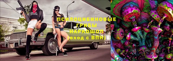дурь Каменка