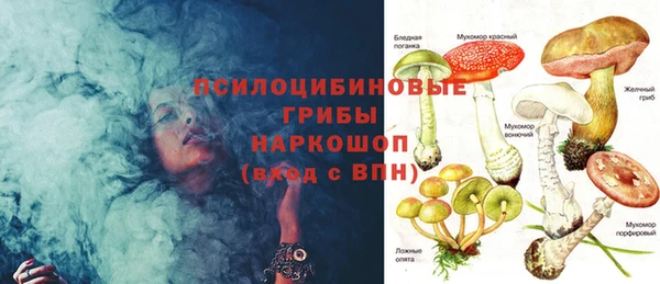 дурь Каменка