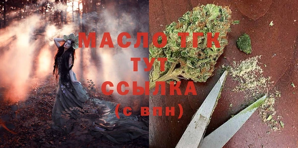 дурь Каменка