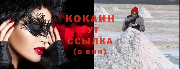 дурь Каменка