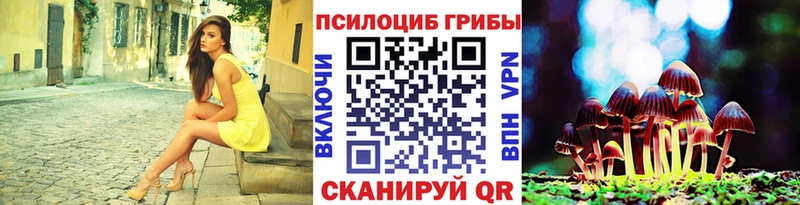 Галлюциногенные грибы MAGIC MUSHROOMS  Купить закладки  Каменка 